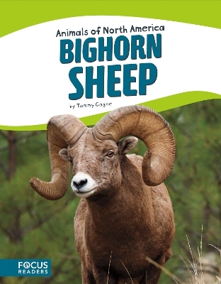 Animals of North America: Bighorn Sheep - Tammy Gagne