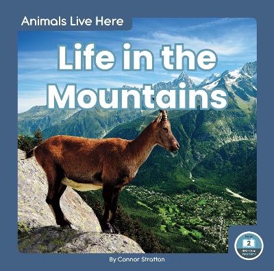 Animals Live Here: Life in the Mountains - Connor Stratton