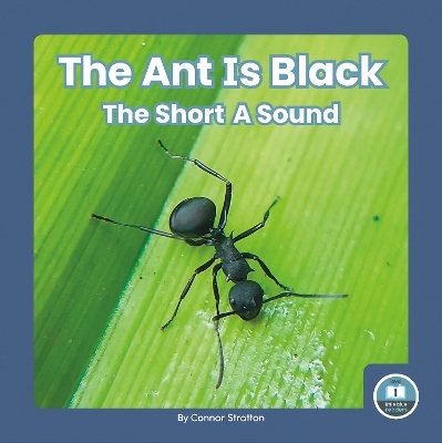 The Ant Is Black - Connor Stratton