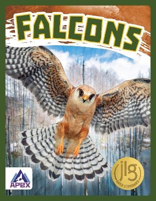 Birds of Prey: Falcons - Connor Stratton
