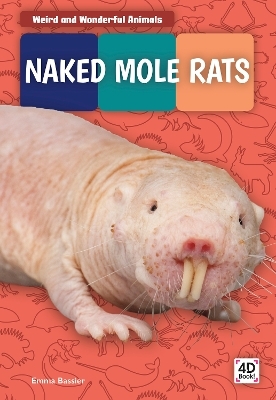 Weird and Wonderful Animals: Naked Mole Rats - Emma Bassier