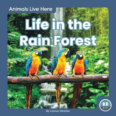 Animals Live Here: Life in the Rain Forest - Connor Stratton
