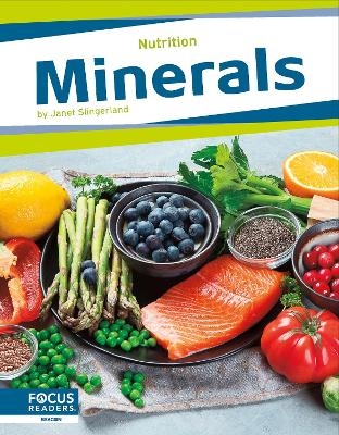 Minerals - Janet Slingerland