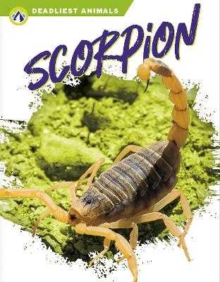 Deadliest Animals: Scorpion - Rachel Hamby