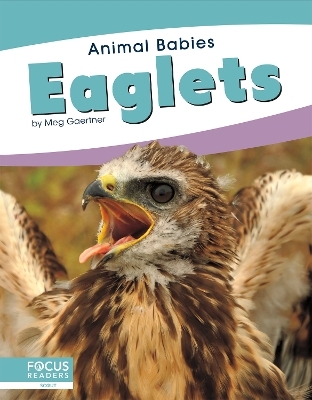 Animal Babies: Eaglets - Meg Gaertner