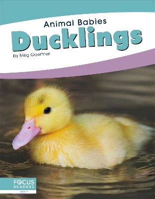 Animal Babies: Ducklings - Meg Gaertner