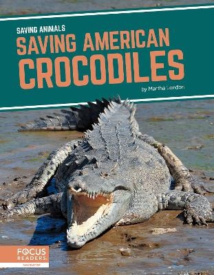 Saving Animals: Saving American Crocodiles - Martha London