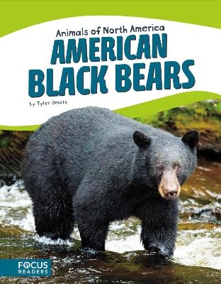 Animals of North America: American Black Bears - Tyler Omoth