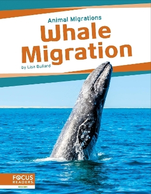 Animal Migrations: Whale Migration - Lisa Bullard