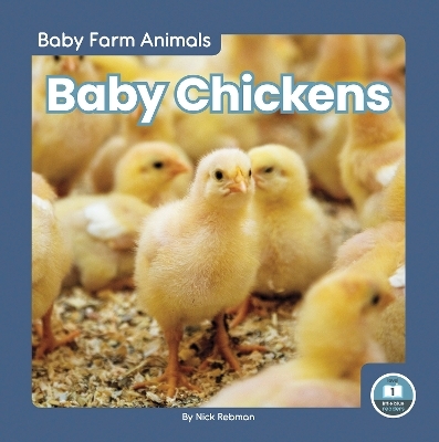 Baby Chickens - Nick Rebman