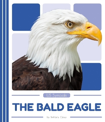US Symbols: The Bald Eagle - Brittany Cesky