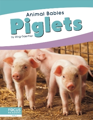 Animal Babies: Piglets - Meg Gaertner