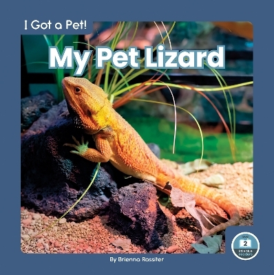 I Got a Pet! My Pet Lizard - Brienna Rossiter