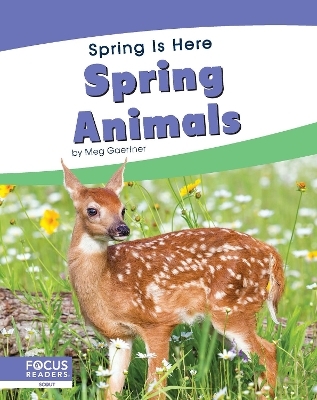 Spring Is Here: Spring Animals - Meg Gaertner
