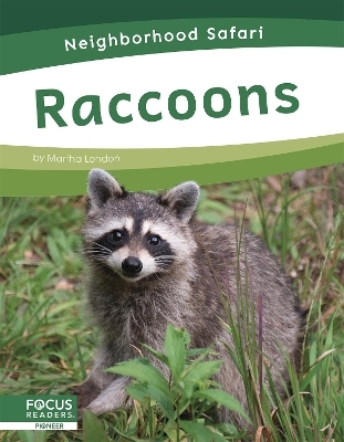 Raccoons - Martha London