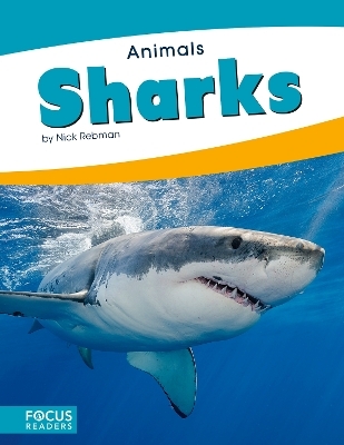 Animals: Sharks - Nick Rebman