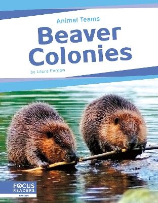 Animal Teams: Beaver Colonies - Laura Perdew