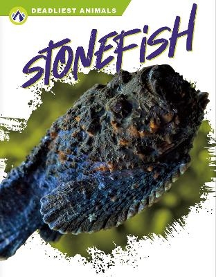 Deadliest Animals: Stonefish - Golriz Golkar