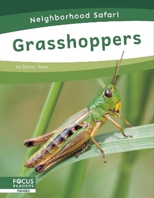 Grasshoppers - Dalton Rains