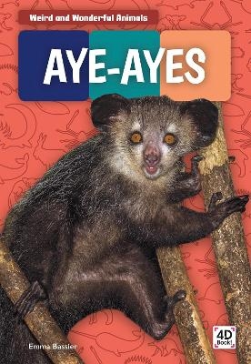 Weird and Wonderful Animals: Aye-Ayes - Emma Bassier