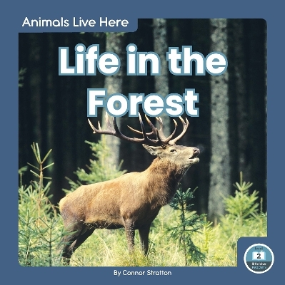 Animals Live Here: Life in the Forest - Connor Stratton