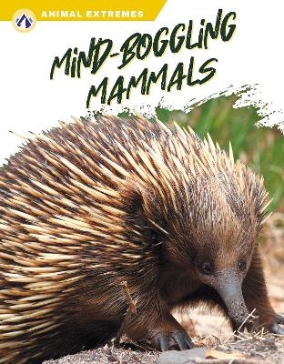 Animal Extremes: Mind-Boggling Mammals - Libby Wilson