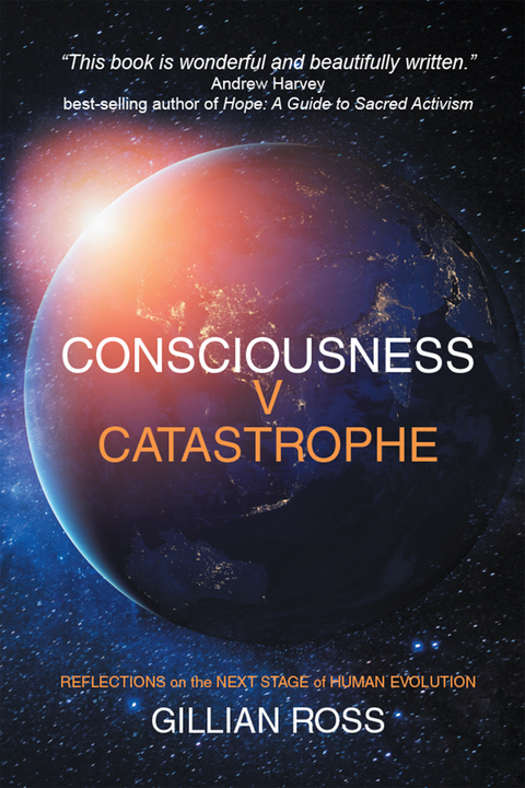Consciousness V Catastrophe -  Gillian Ross