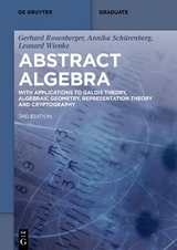 Abstract Algebra - Gerhard Rosenberger, Annika Schürenberg, Leonard Wienke