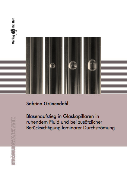 Blasenaufstieg in Glaskapillaren in ruhendem Fluid und bei zusätzlicher Berücksichtigung laminarer Durchströmung - Sabrina Grünendahl