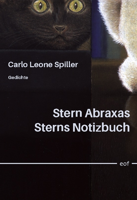 Stern Abraxas Sterns Notizbuch - Carlo Leone Spiller