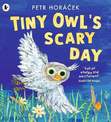 Tiny Owl's Scary Day - Petr Horácek