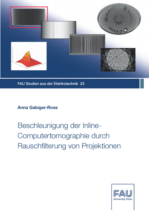 Beschleunigung der Inline-Computertomographie durch Rauschfilterung von Projektionen - Anna Gabiger-Rose