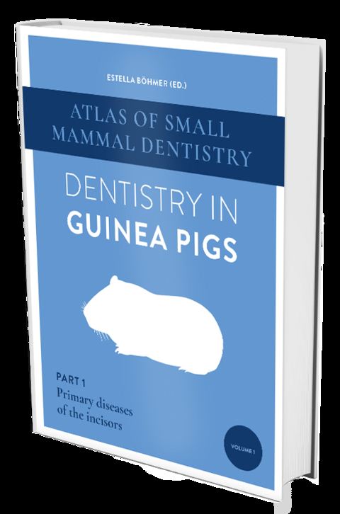 Dentistry in Guinea Pigs - Estella Böhmer
