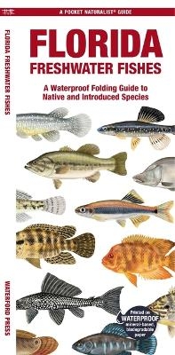 Florida Freshwater Fishes - Matthew Morris