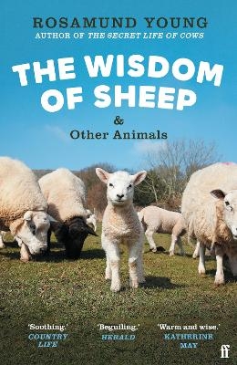 The Wisdom of Sheep & Other Animals - Rosamund Young