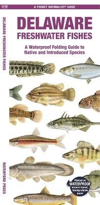 Delaware Freshwater Fishes - Matthew Morris