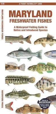 Maryland Freshwater Fishes - Matthew Morris Matthew Morris