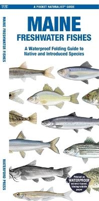 Maine Freshwater Fishes - Matthew Morris