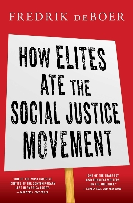 How Elites Ate the Social Justice Movement - Fredrik DeBoer