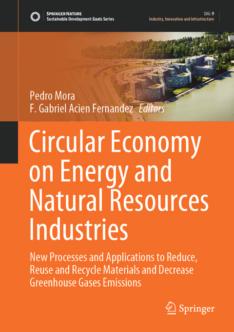 Circular Economy on Energy and Natural Resources Industries - 