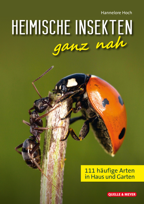 Heimische Insekten ganz nah - Hannelore Hoch