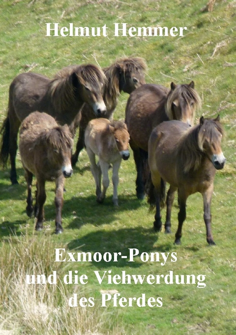 Exmoor-Ponys und die Viehwerdung des Pferdes - Helmut Hemmer