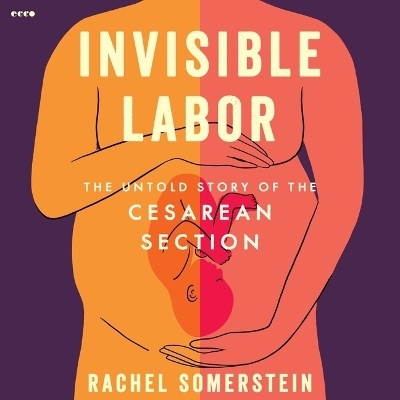 Invisible Labor - Rachel Somerstein