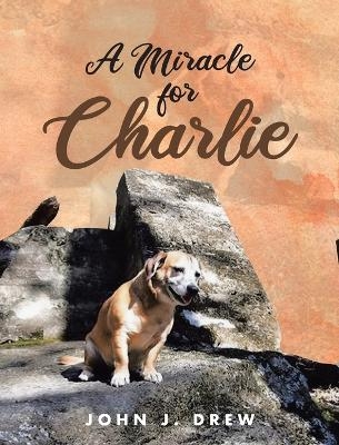 A Miracle for Charlie - John J Drew