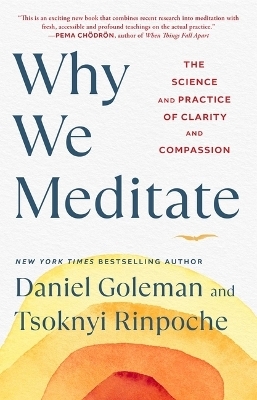 Why We Meditate - Daniel Goleman, Tsoknyi Rinpoche