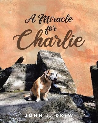 A Miracle for Charlie - John J Drew