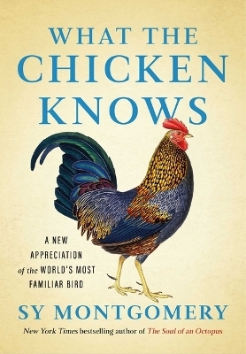 What the Chicken Knows - Sy Montgomery