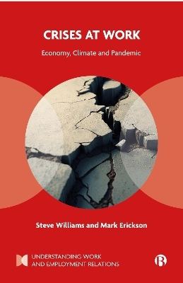 Crises at Work - Steve Williams, Mark Erickson