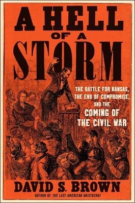 A Hell of a Storm - David S Brown