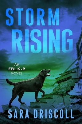 Storm Rising - Sara Driscoll